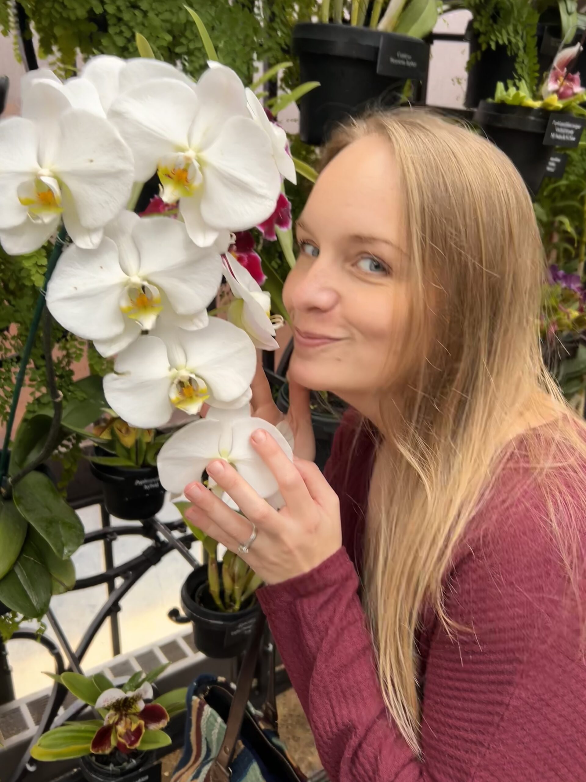 Woman smelling white orchids with blue eyes and blonde hair, wearing a maroon sweater.